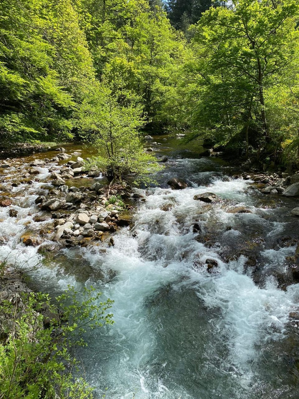 Hiking