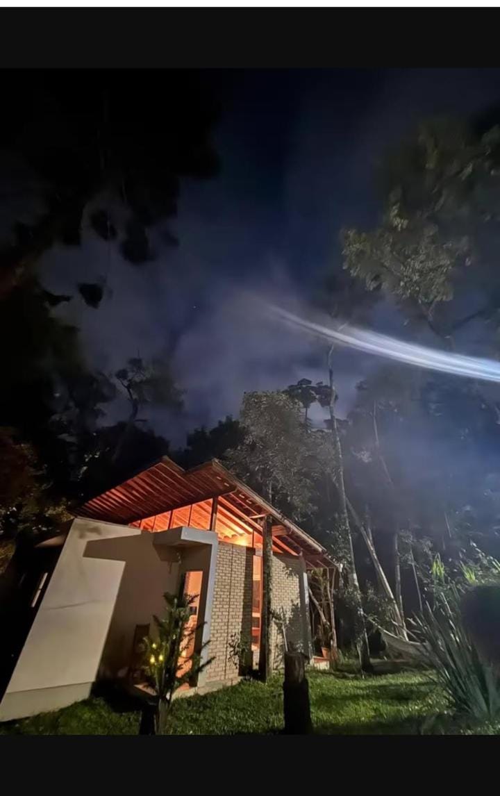 Night, Garden, Garden view