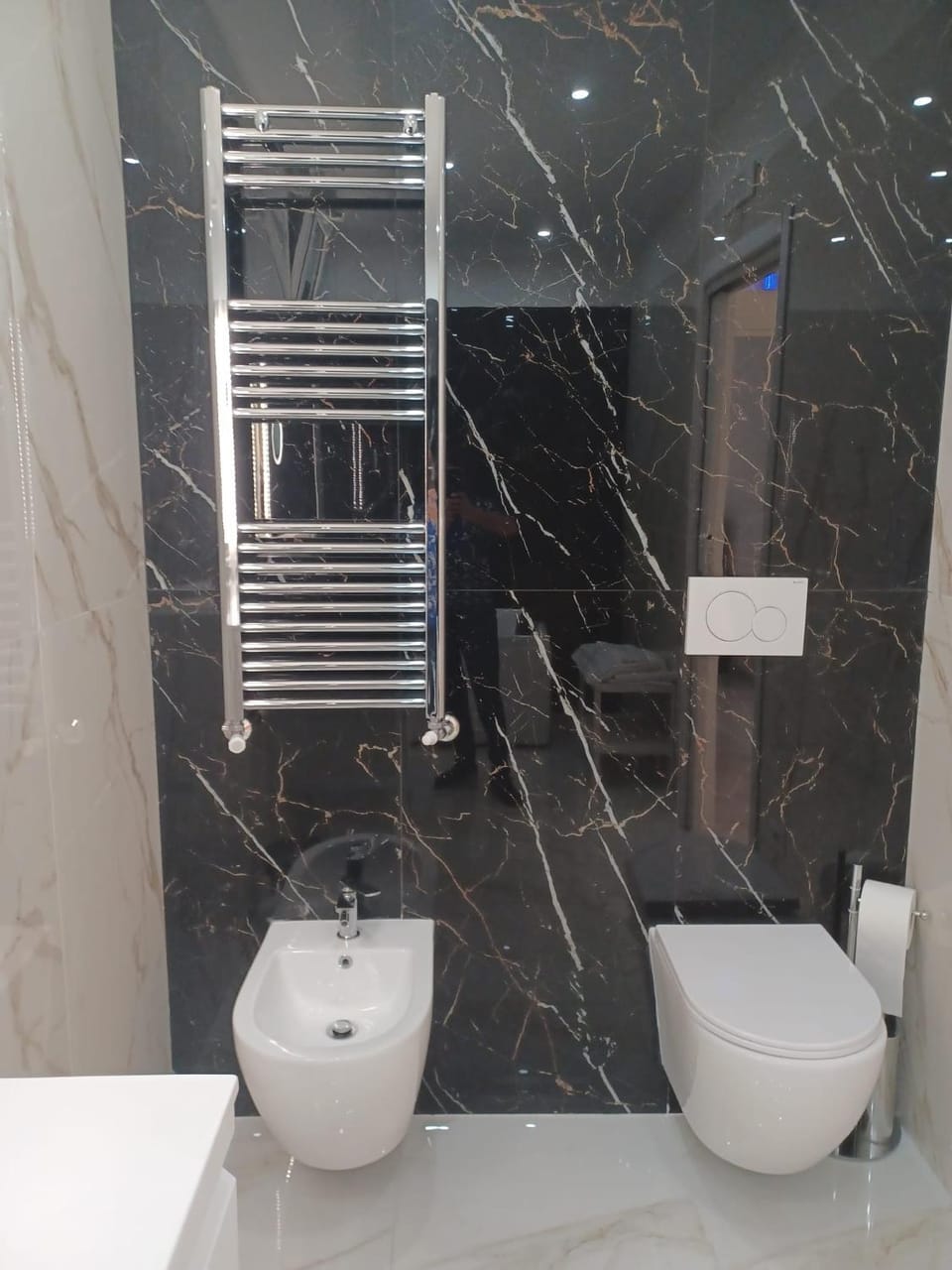 Toilet, Bathroom, bidet