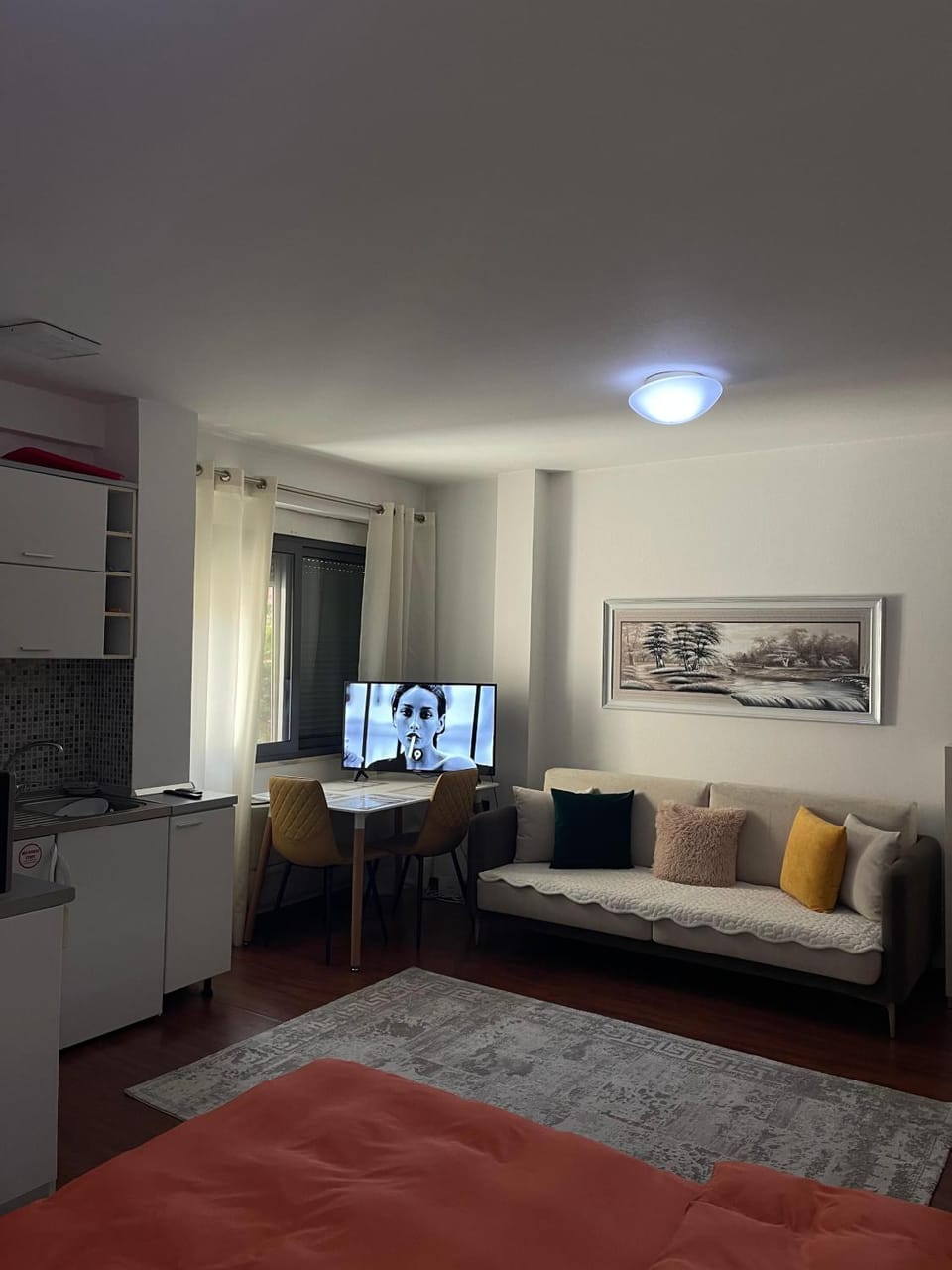 TV and multimedia