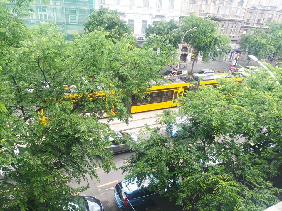 View (from property/room), Location