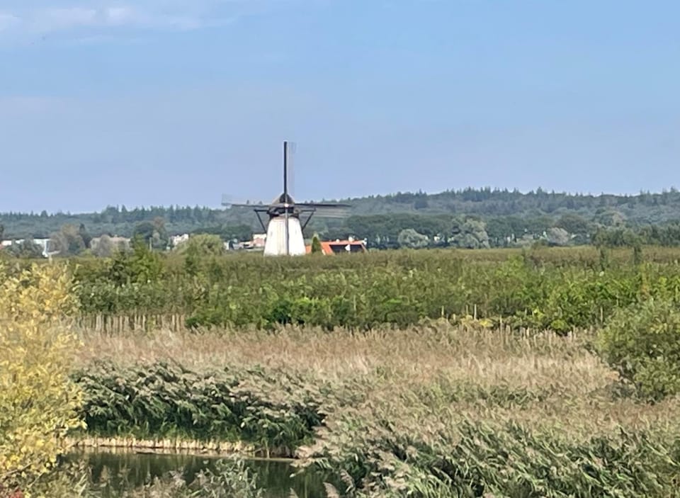 Natural landscape