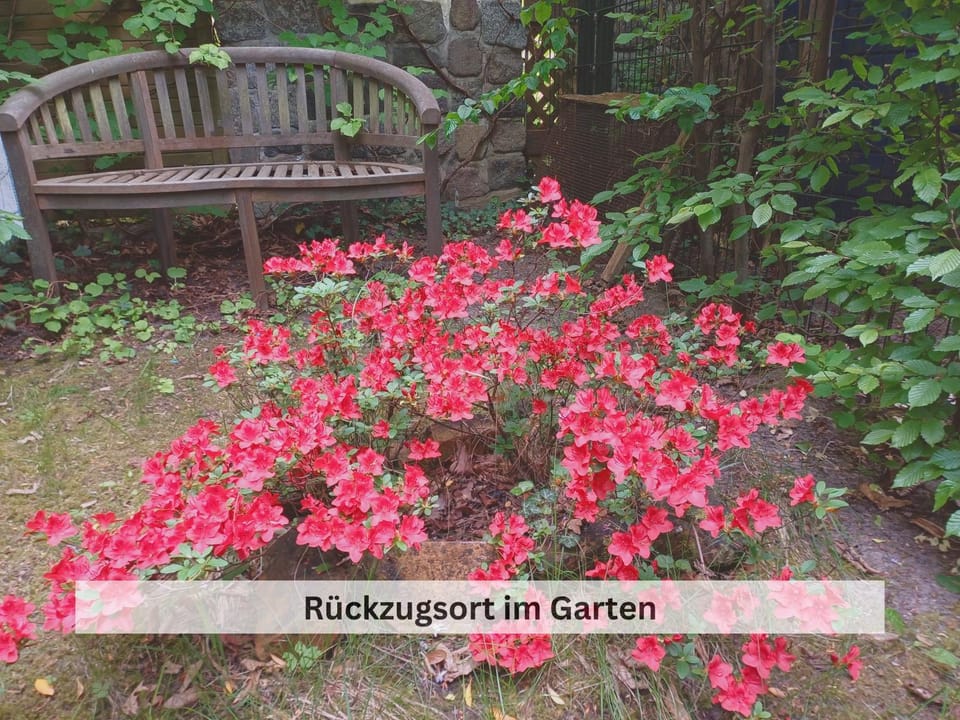Garden, Text overlay, Garden view