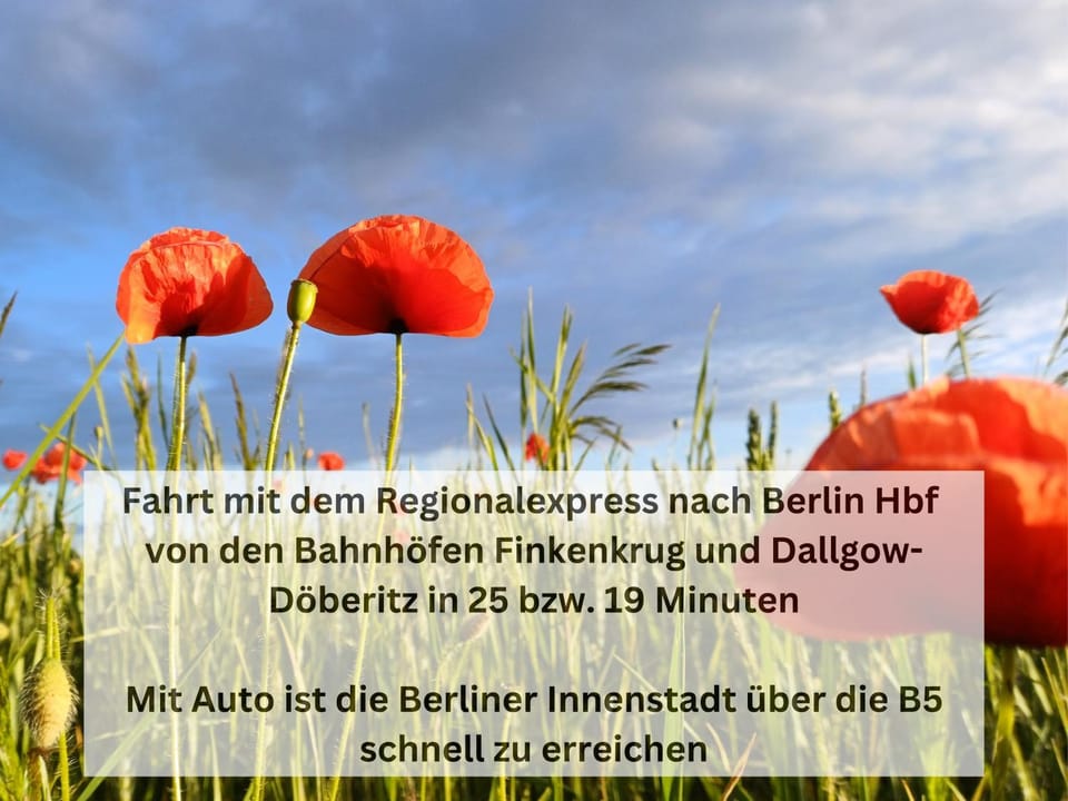 Text overlay