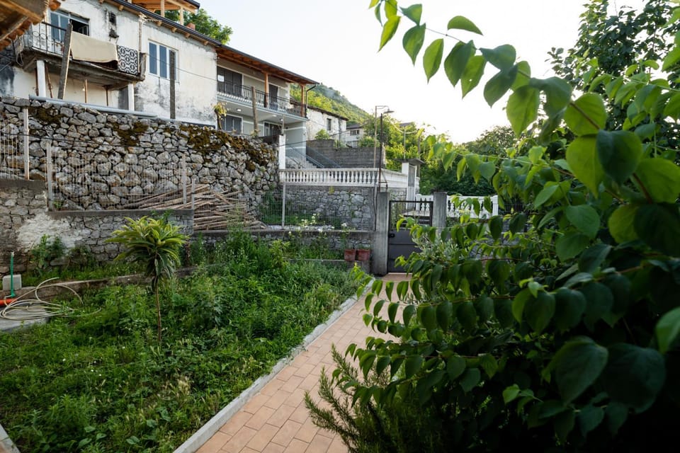 Garden, Garden view