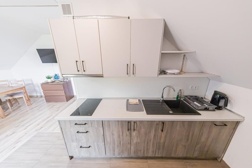 Coffee/tea facilities, Kitchen or kitchenette, minibar, oven, pet friendly, stove, toaster