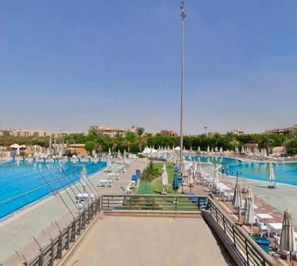 Day, Pool view, Swimming pool, sunbed