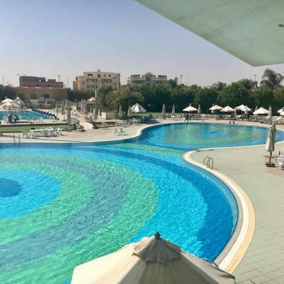 Day, Pool view, Swimming pool, sunbed