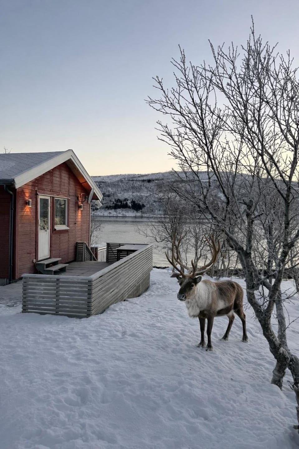 RealNorth Experience - Sea Cabin Cabin in Troms Og Finnmark