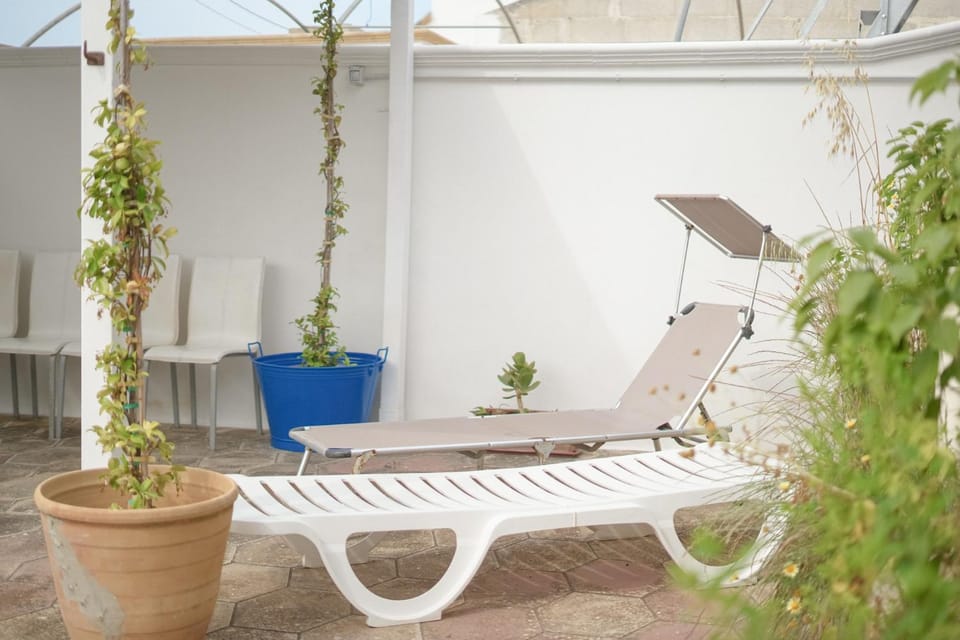 Spring, Day, Garden, Garden view, sunbed
