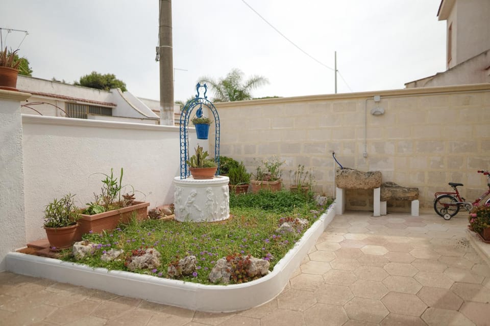 Day, Garden view