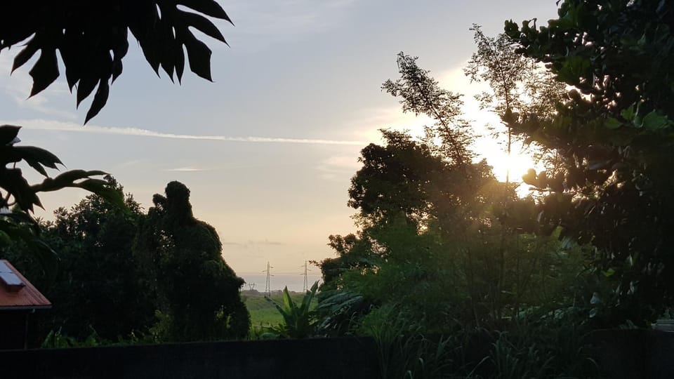 Garden, Sea view