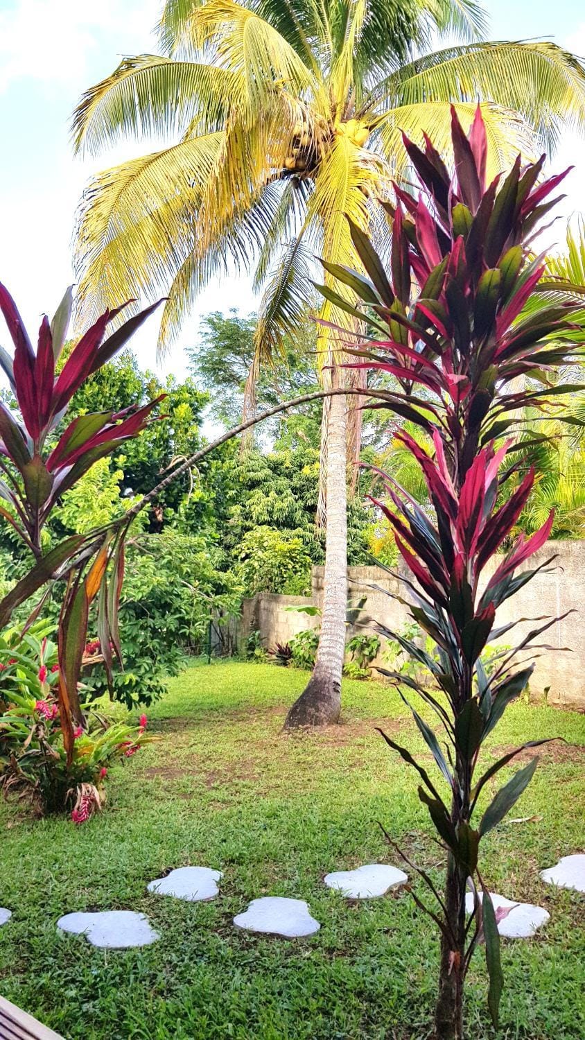 Garden, Garden, Garden view