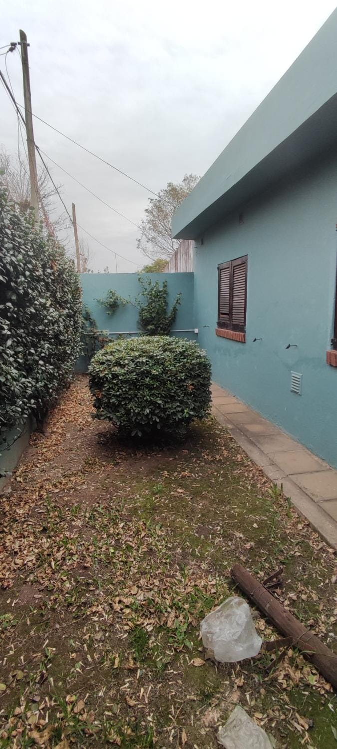 Garden, Garden