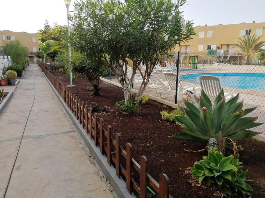 Garden, Pool view