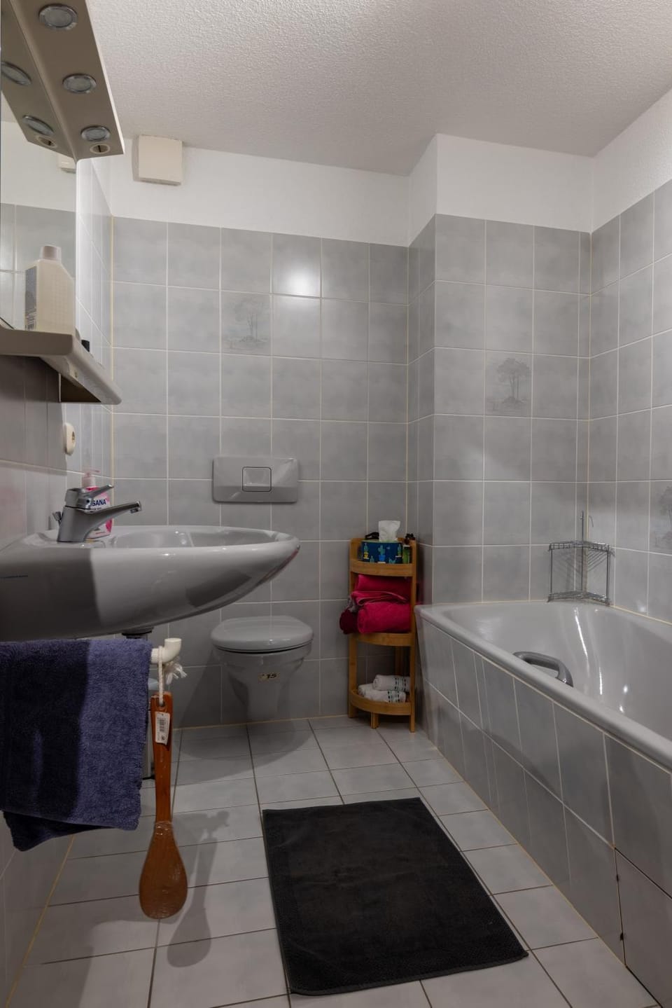 Bathroom, Living room