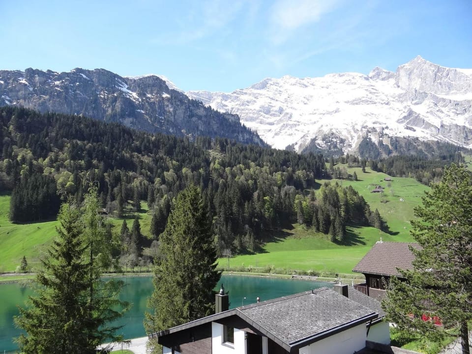 Apartment Aurora Appartement-Fewo 4-Bettwohnung by Interhome Apartment in Canton of Bern (Region)