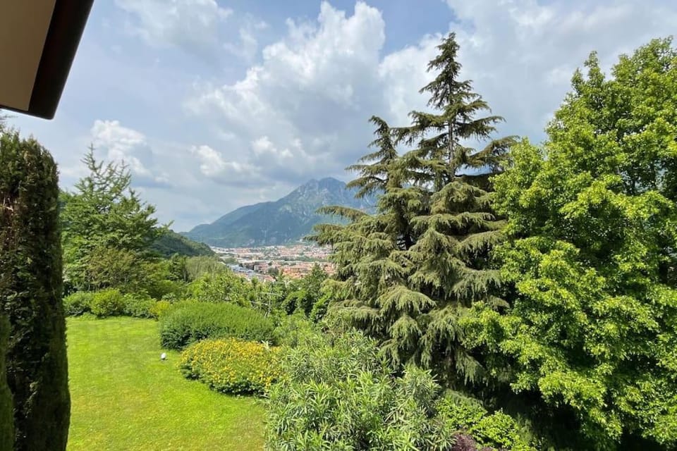 Natural landscape, Garden view