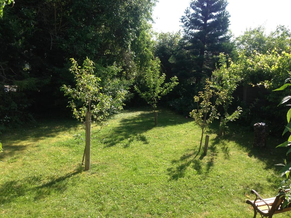Garden, Garden view
