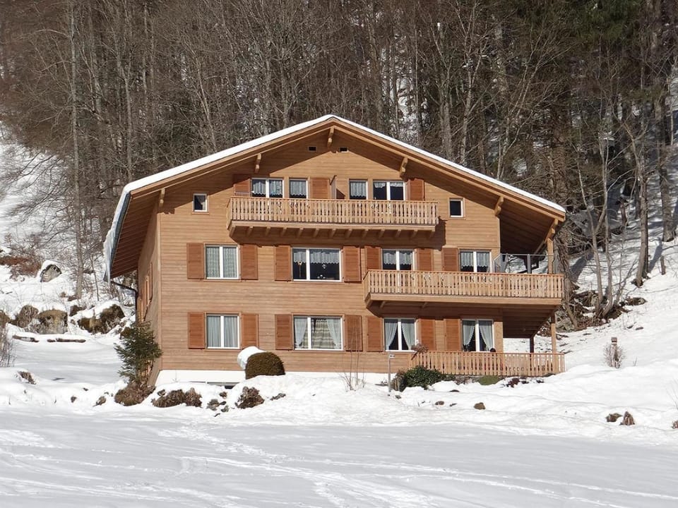 Apartment Berg Edelweiss Appartement-Fewo 3-Bettwohnung by Interhome Apartment in Canton of Bern (Region)