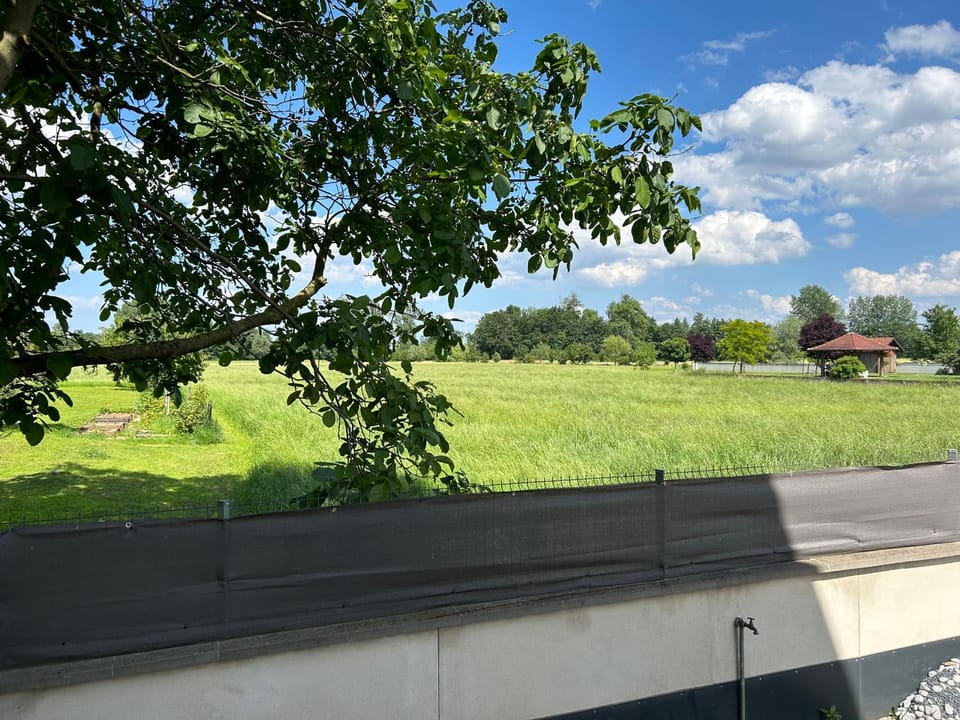 Spring, Day, Neighbourhood, Natural landscape, Garden, Garden view