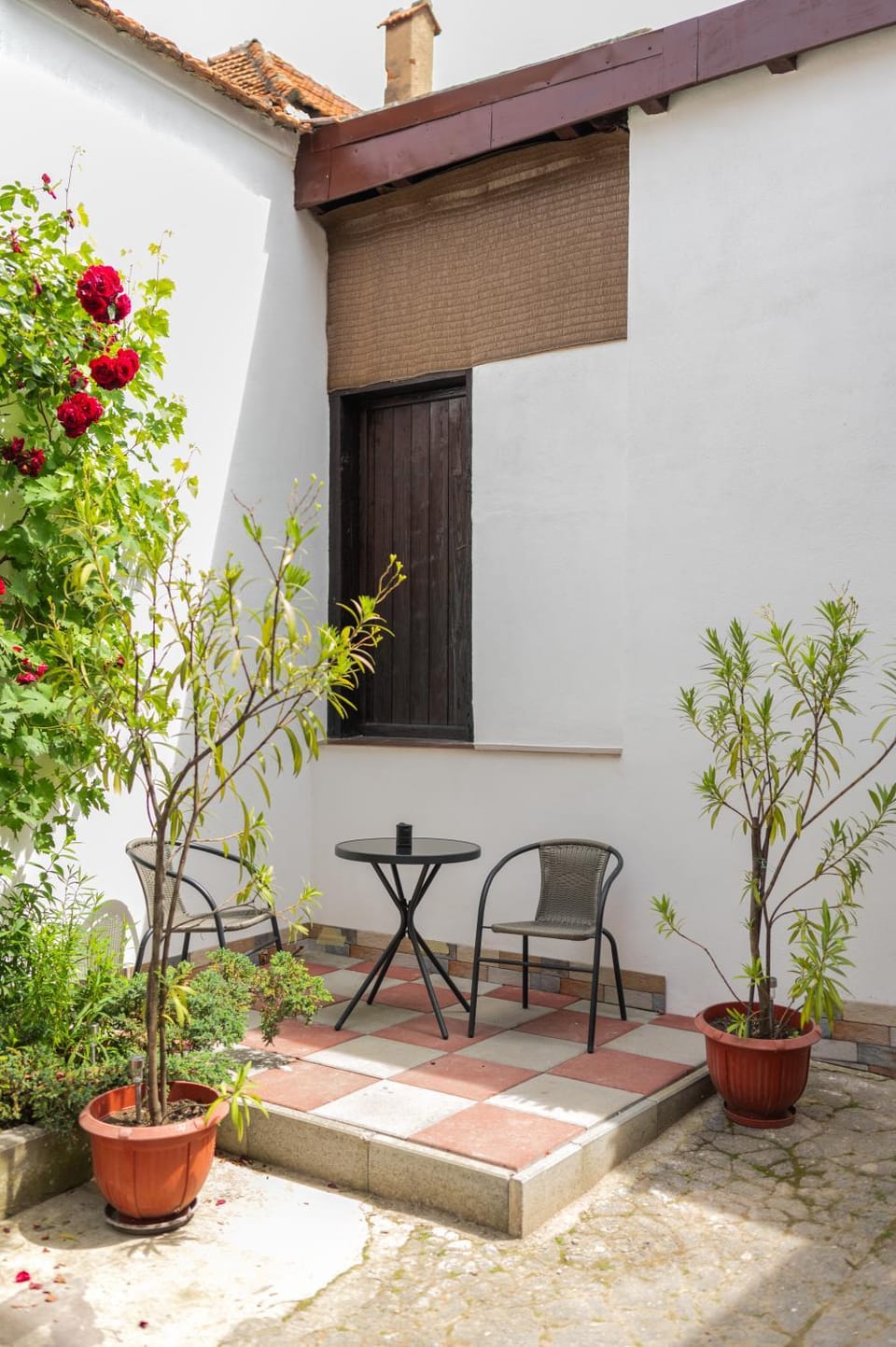 Spring, Garden, Garden, Dining area, Garden view