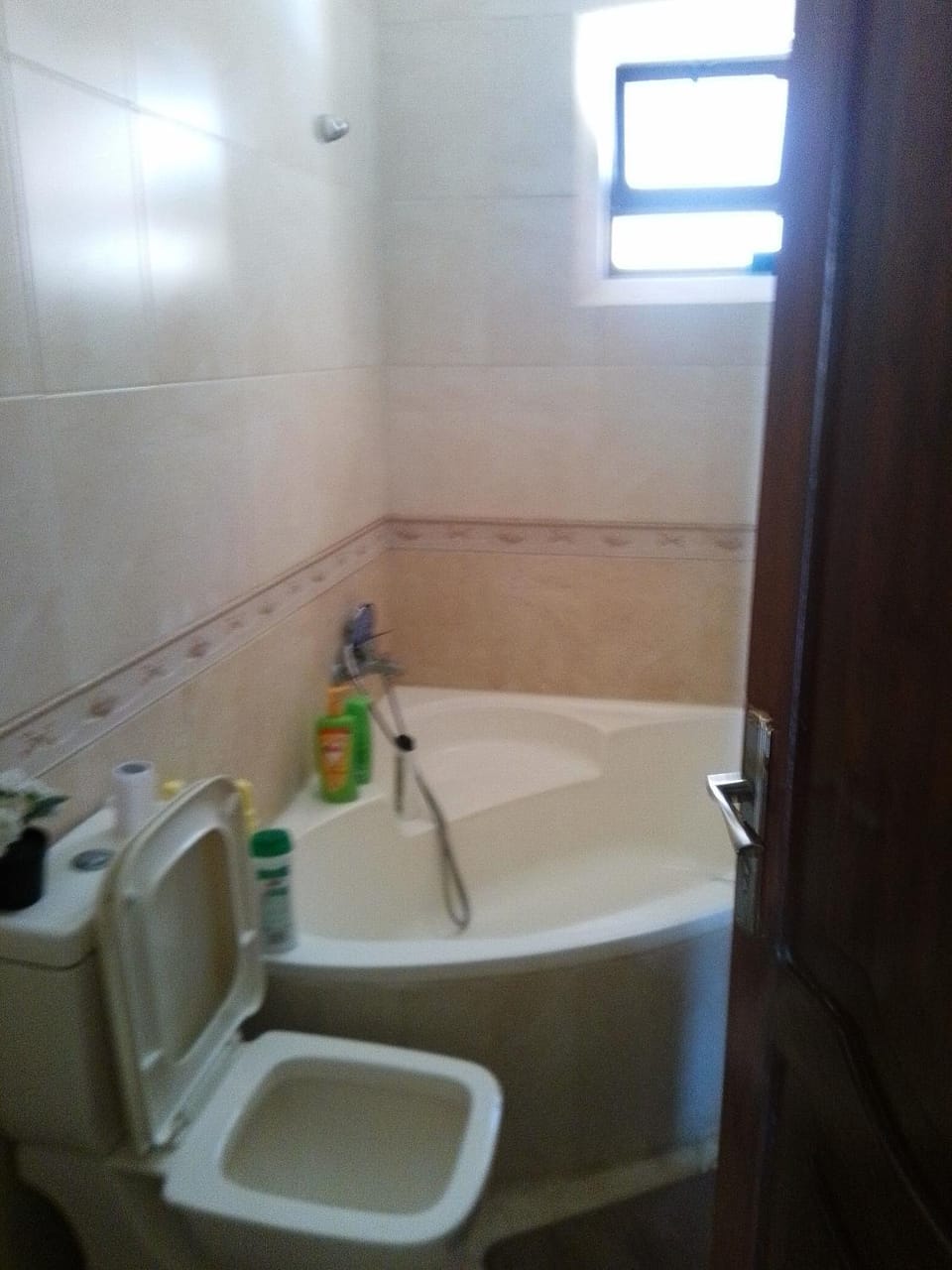 Ayola Apartment Vacation rental in Africa