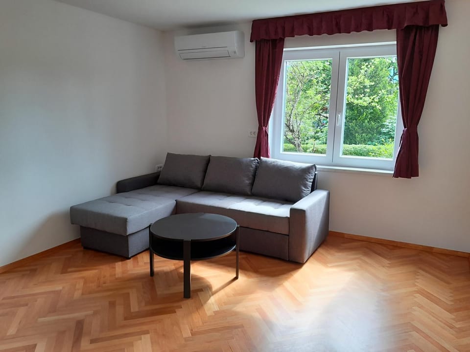 Living room, Seating area, air conditioner