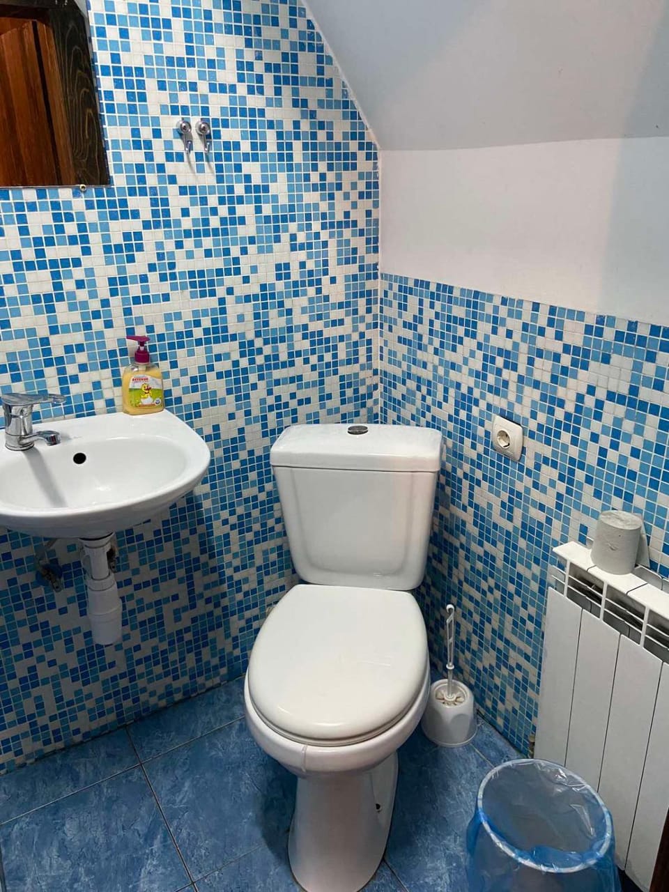 Shower, Toilet