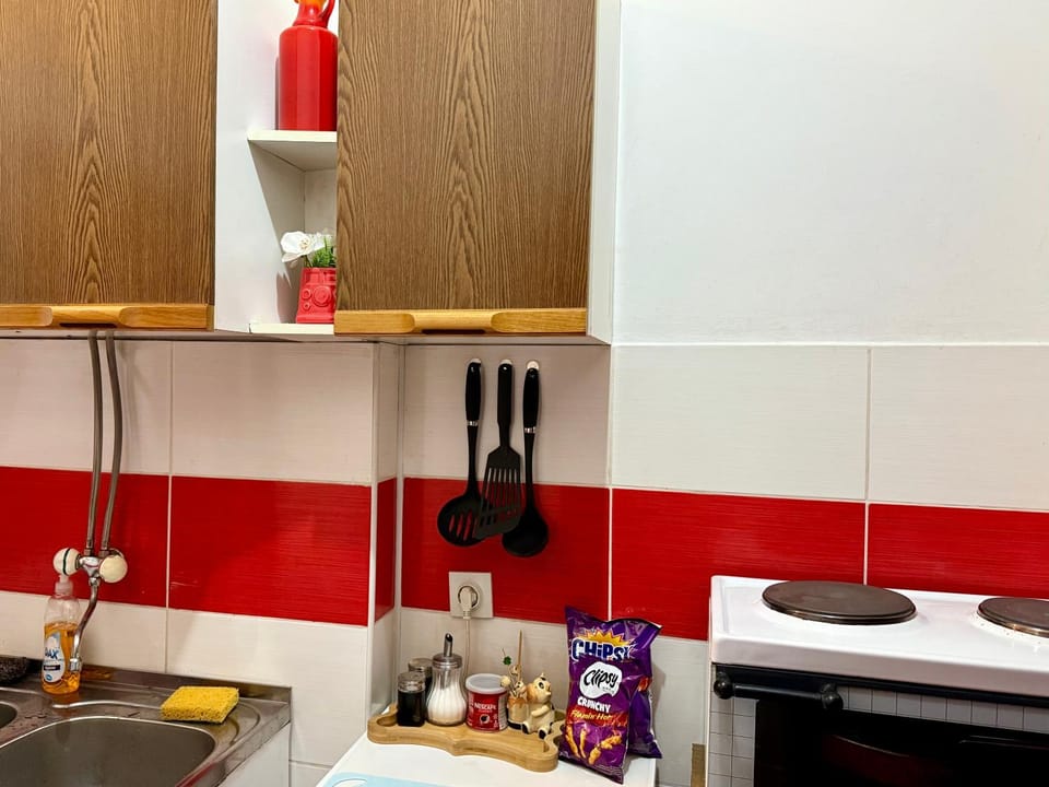 City Center Cozy Studio Apartment in Podgorica