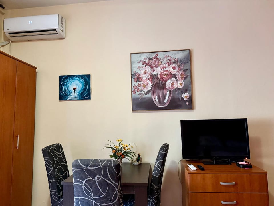 City Center Cozy Studio Apartment in Podgorica