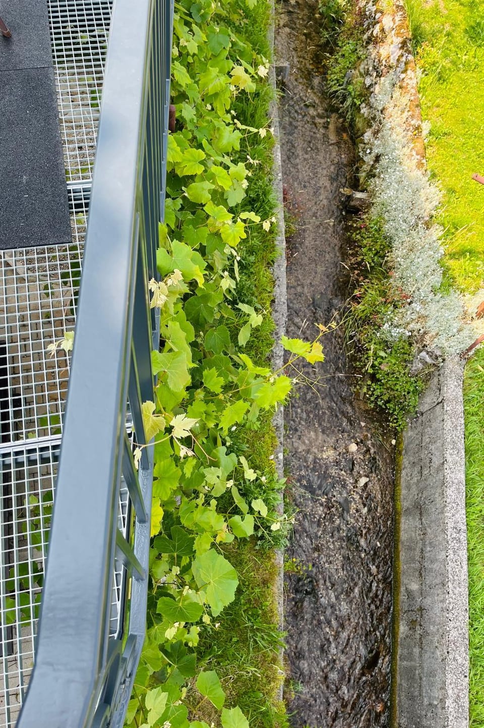 Spring, Day, Garden view, River view, River view