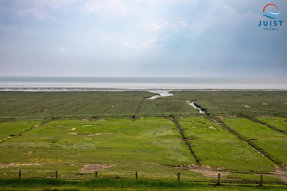 Natural landscape