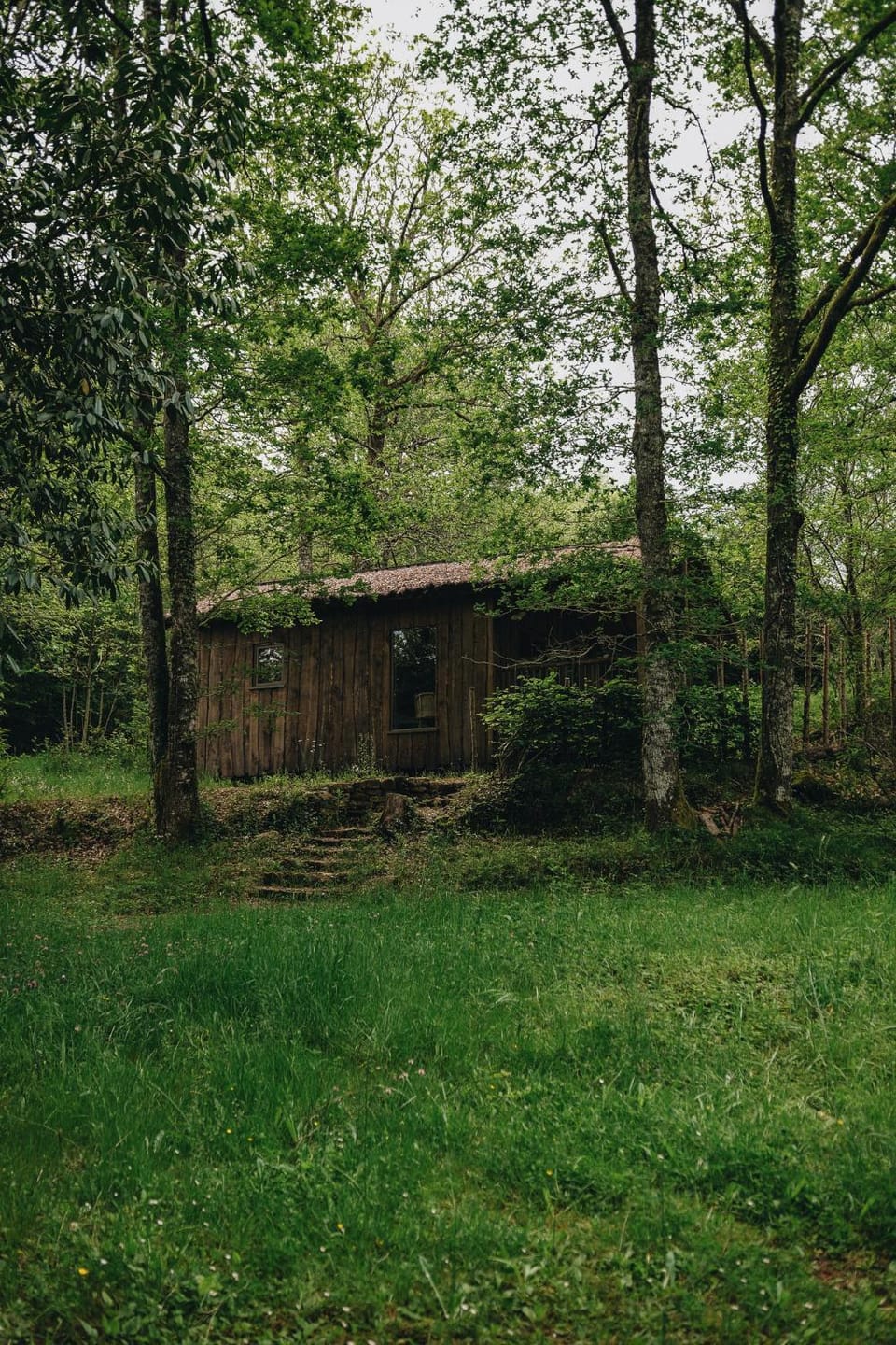 Natural landscape