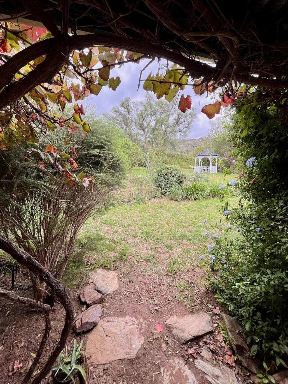 Patio, Garden, Garden view