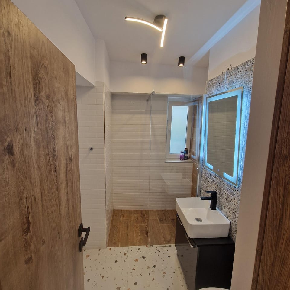 Provista Apartments - city center view Apartment in Timiș County