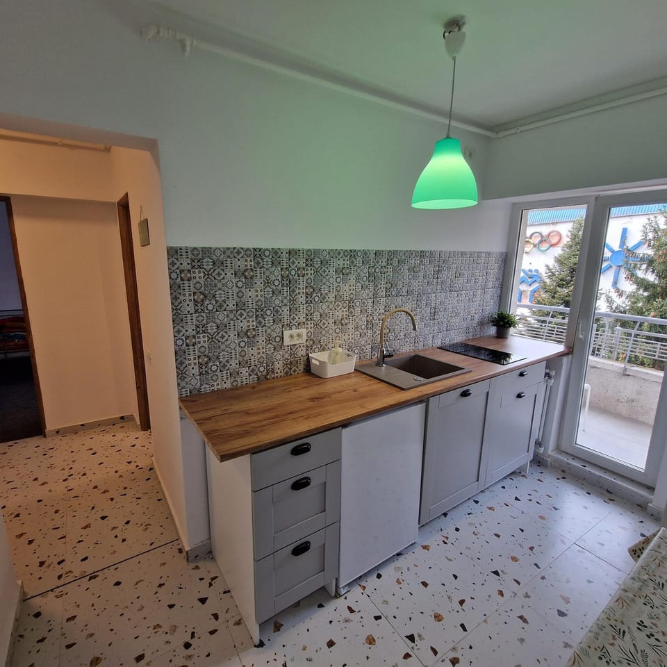 Provista Apartments - city center view Apartment in Timiș County