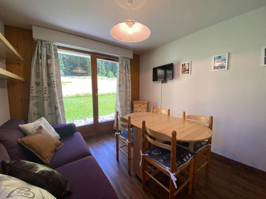 Iris 1 - Petit T3 proche du Linga Apartment in Châtel