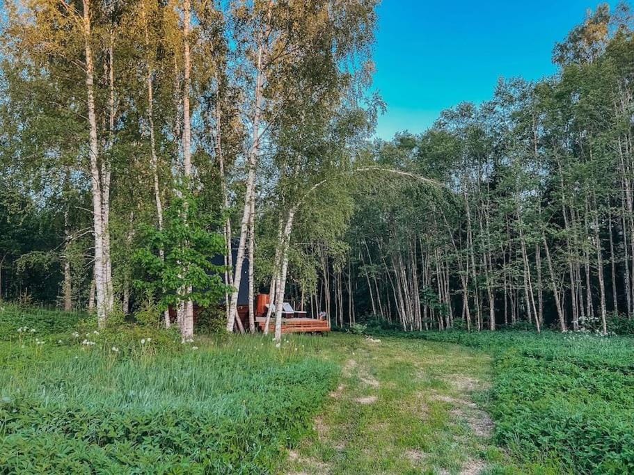 Unique Tiny House in Countryside House in Estonia