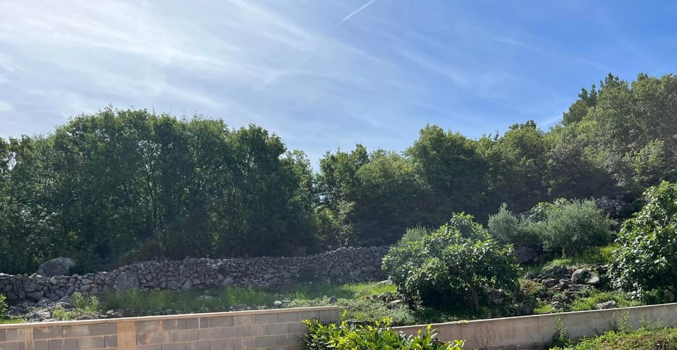 Day, Natural landscape, Garden, Garden view
