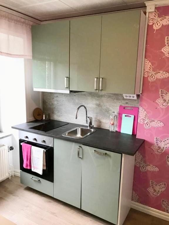 Kitchen or kitchenette, dishwasher, oven, stove