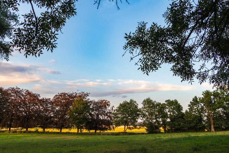 Natural landscape
