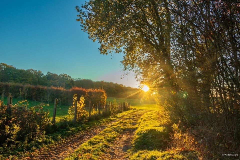 Natural landscape