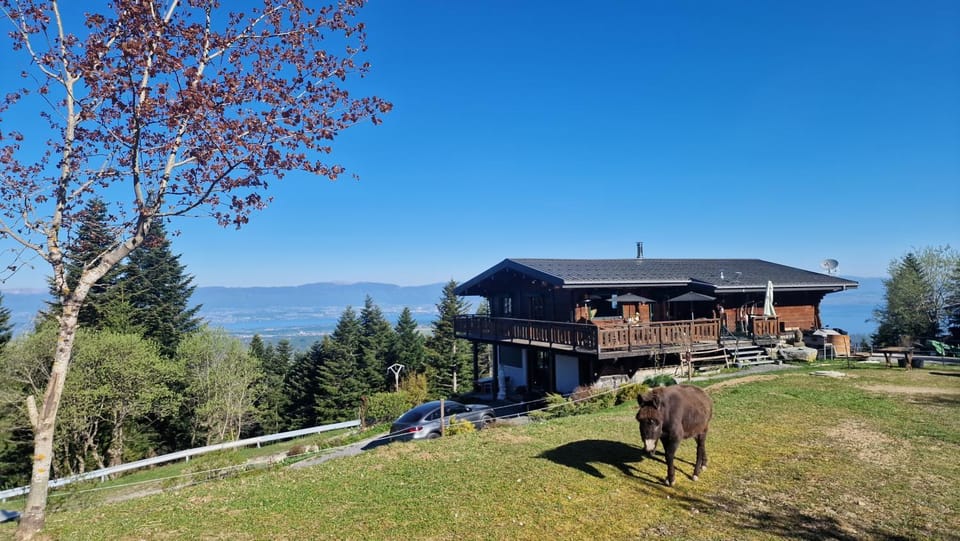 Appartement Les Montagnes de Saxel Apartment in Haute-Savoie