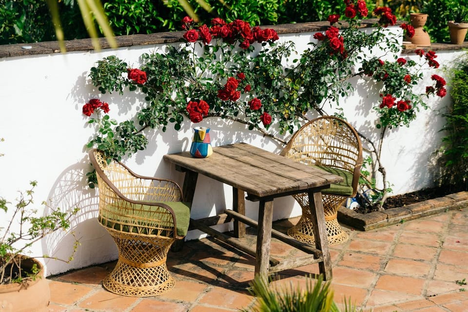 Garden, Balcony/Terrace