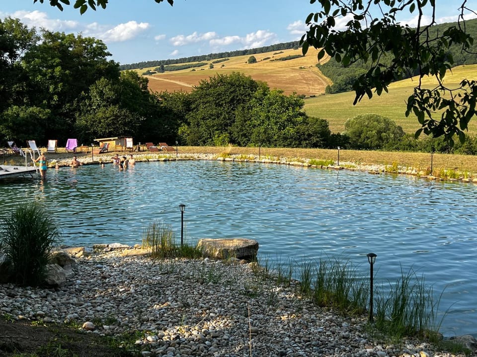 Natural landscape, Lake view, Mountain view, Swimming pool
