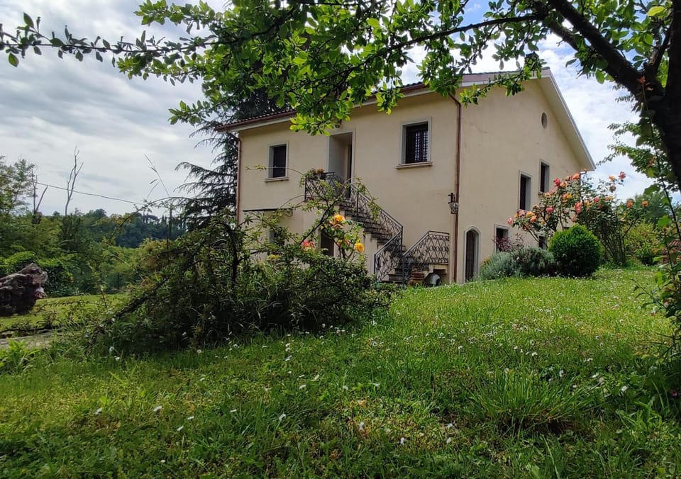 Property building, Spring, Day, Natural landscape, Garden, Garden view