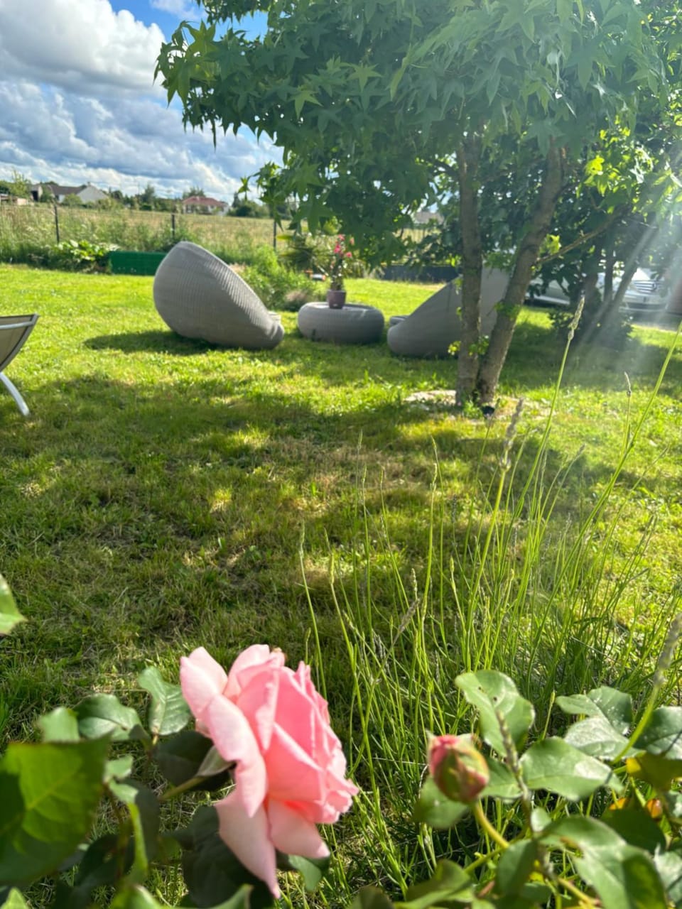 Le Domaine de Darvoy Bed and Breakfast in Centre-Val de Loire