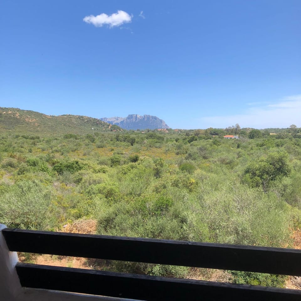 Nearby landmark, Natural landscape