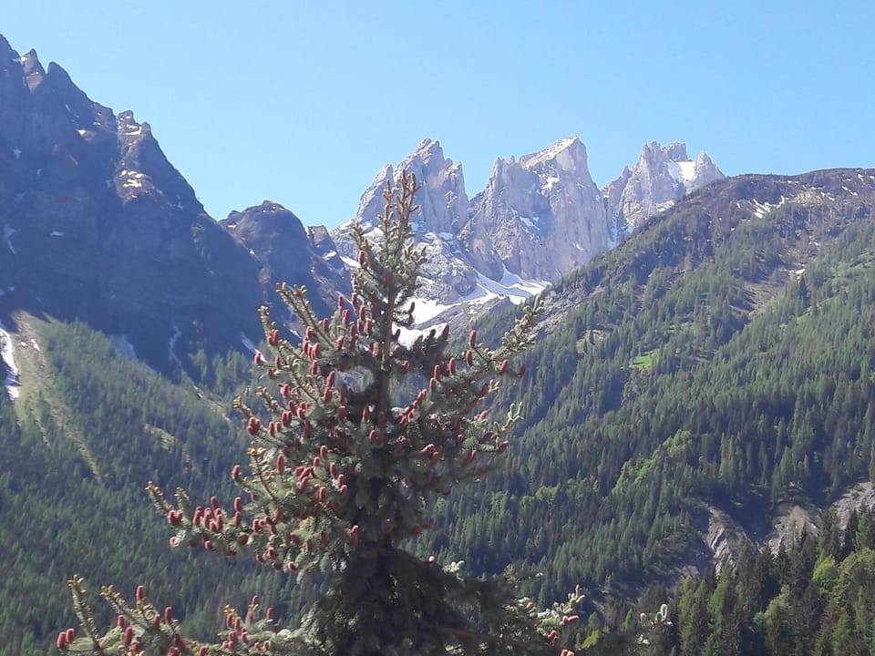 Appartamento Madama Apartment in Pie' Falcade